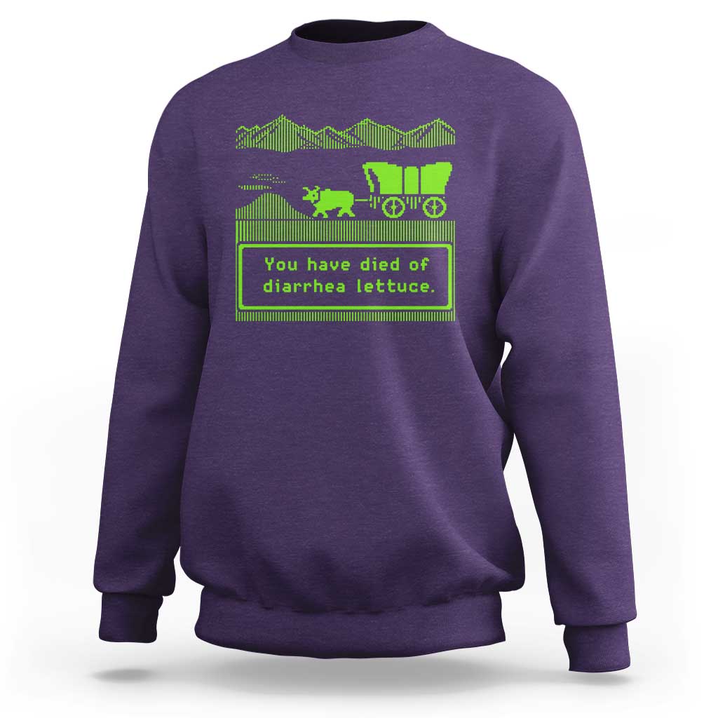 Retro 8-Bit Pixel 80s Game Over Parody Graphic Sweatshirt You Have Died Of Diarrhea Lettuce