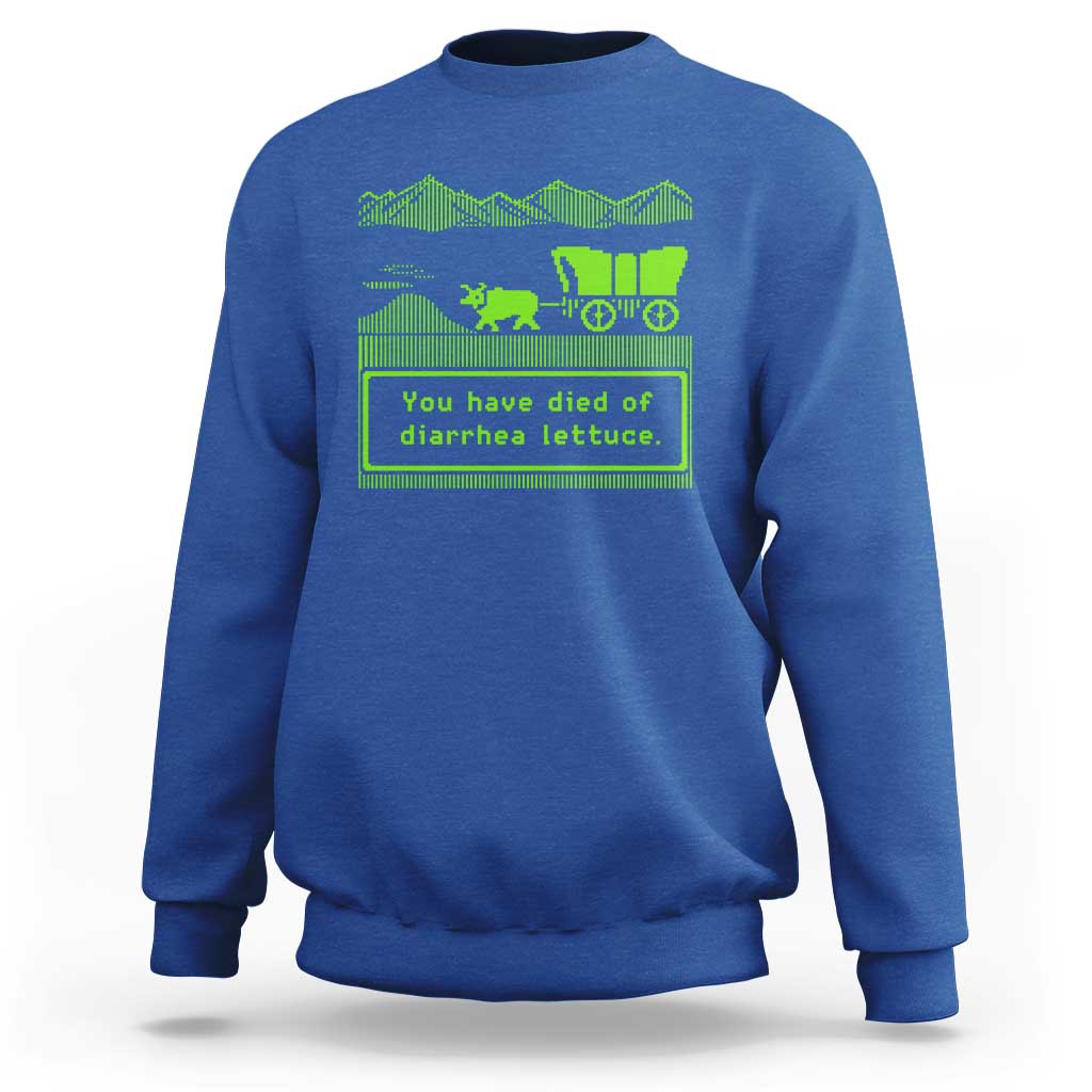Retro 8-Bit Pixel 80s Game Over Parody Graphic Sweatshirt You Have Died Of Diarrhea Lettuce