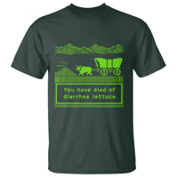 Retro 8-Bit Pixel 80s Game Over Parody Graphic T Shirt You Have Died Of Diarrhea Lettuce