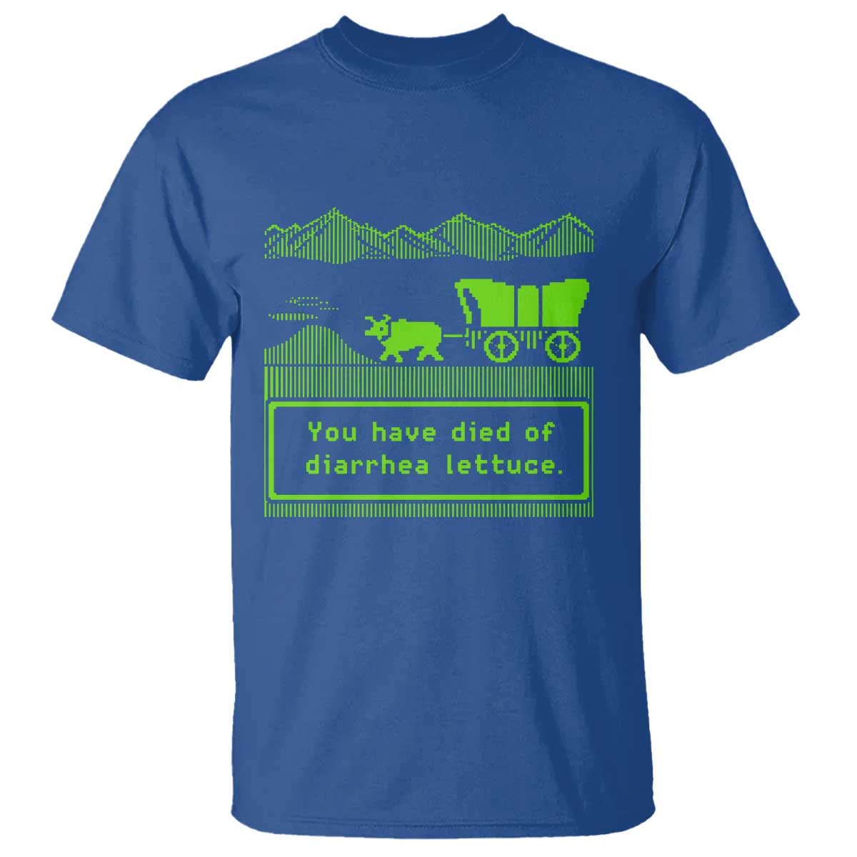 Retro 8-Bit Pixel 80s Game Over Parody Graphic T Shirt You Have Died Of Diarrhea Lettuce