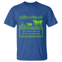 Retro 8-Bit Pixel 80s Game Over Parody Graphic T Shirt You Have Died Of Diarrhea Lettuce