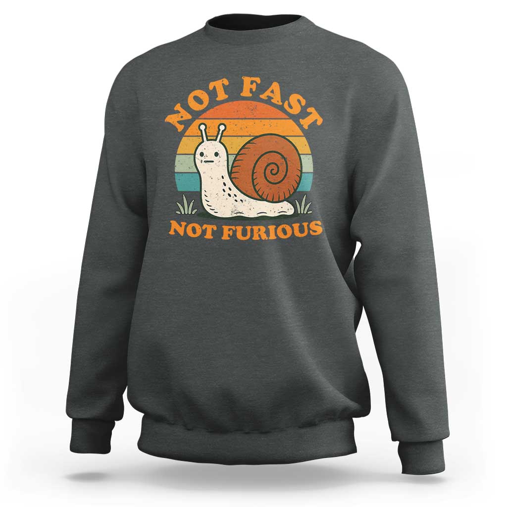 Funny Snail Introvert Slow Living Sweatshirt Not Fast Not Furious Retro Sunset