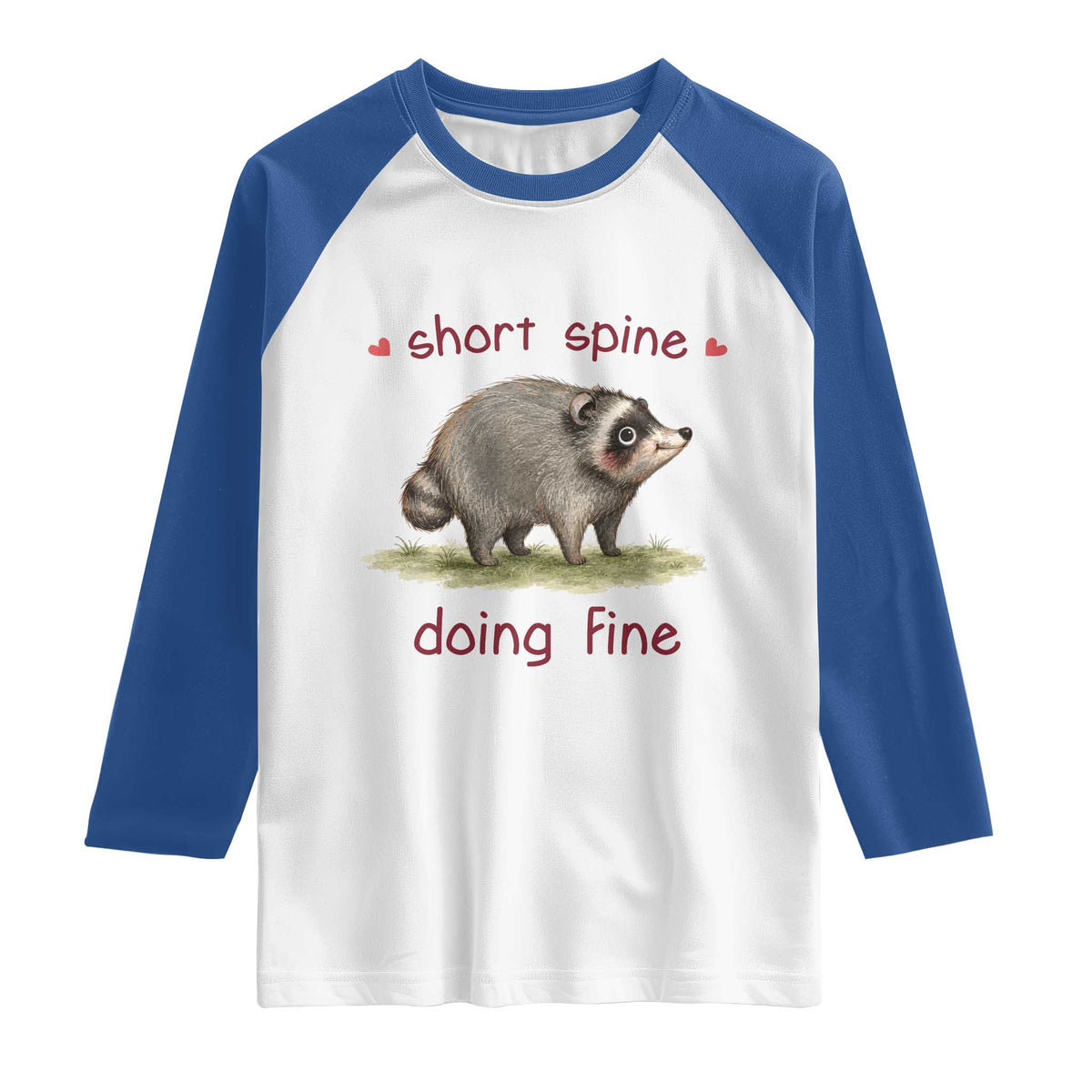 Cute Watercolor Jimothy the Raccoon Inspirational Raglan Shirt Short Spine Doing Fine Viral Seattle Trash Panda Supporter