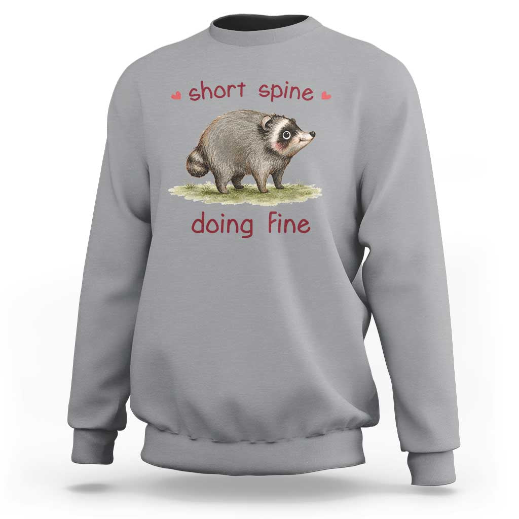 Cute Watercolor Jimothy the Raccoon Inspirational Sweatshirt Short Spine Doing Fine Viral Seattle Trash Panda Supporter