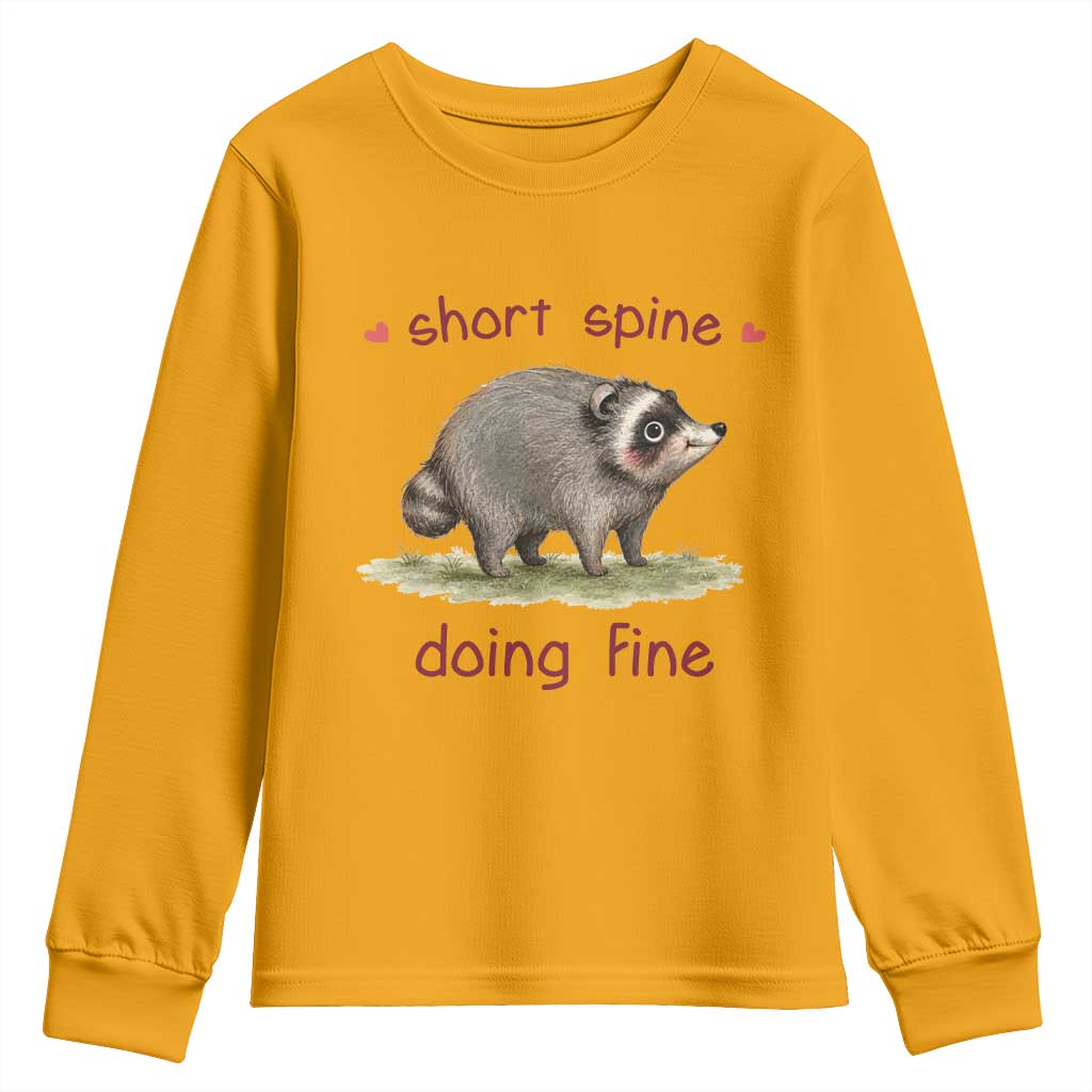 Cute Watercolor Jimothy the Raccoon Inspirational Youth Sweatshirt Short Spine Doing Fine Viral Seattle Trash Panda Supporter