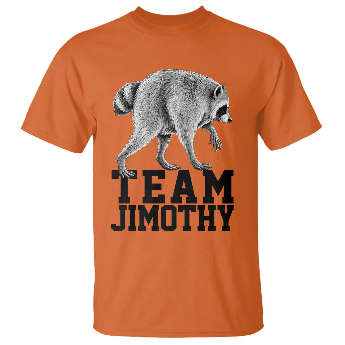 Team Jimothy Viral Seattle Raccoon T Shirt Vintage Trash Panda Meme Graphic