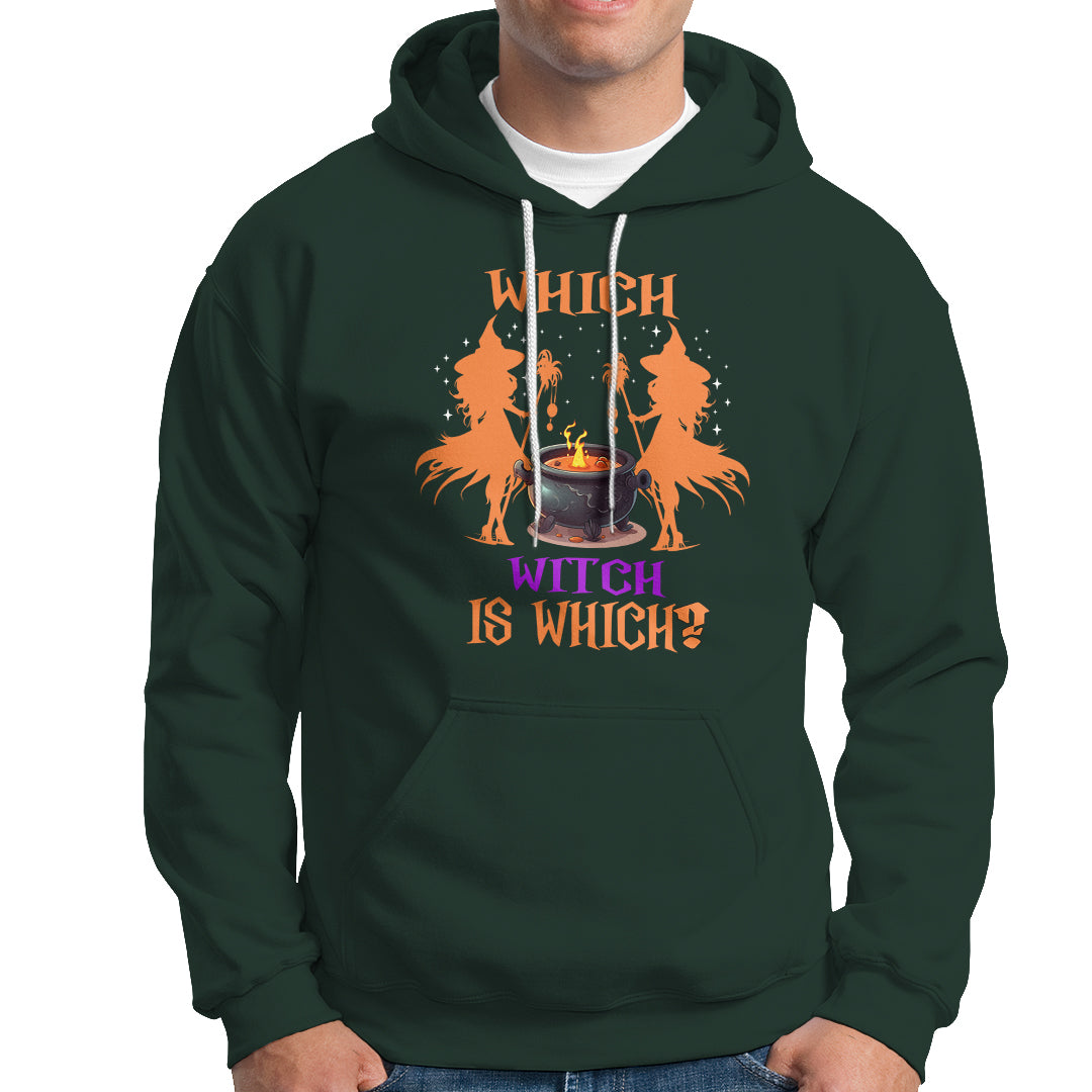 Halloween Witch Hoodie One More Chapter Book Of Spells Witchcraft - Wonder Print Shop
