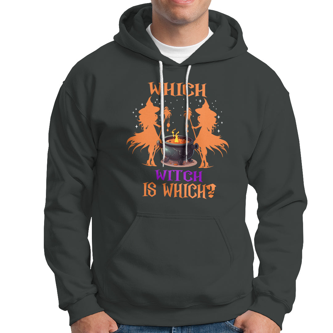 Halloween Witch Hoodie One More Chapter Book Of Spells Witchcraft - Wonder Print Shop