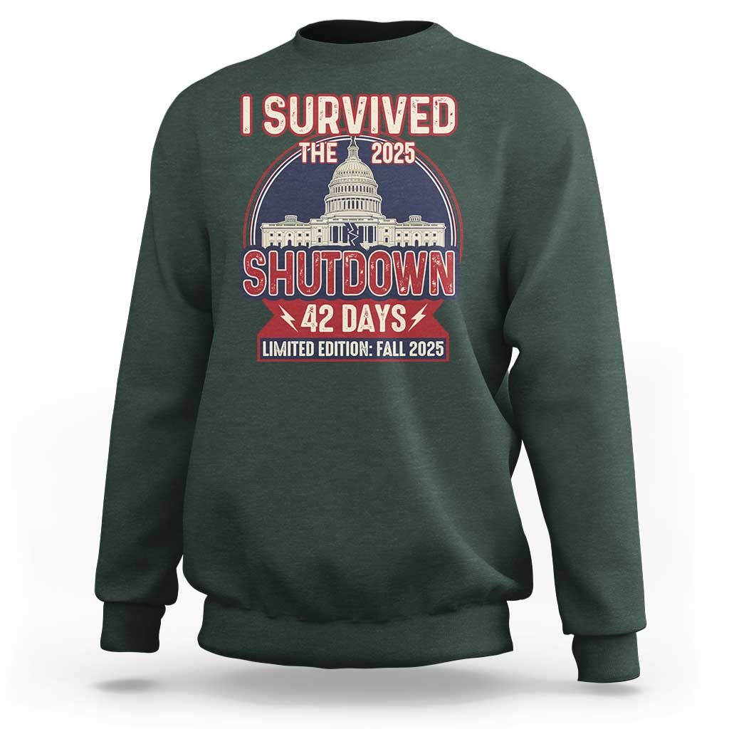 I Survived the 2025 Shutdown Sweatshirt Funny Government Closure Parody Political Humor - Wonder Print Shop