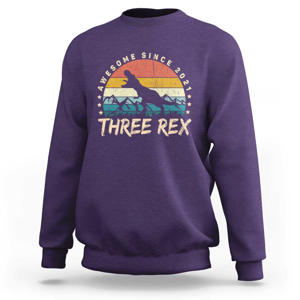 Three Rex 3rd Birthday Sweatshirt 3 Years Old Dinosaur Bday Boy