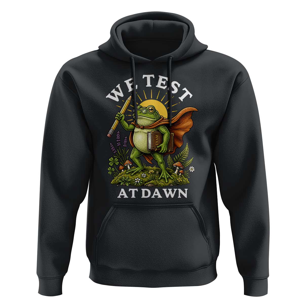 We Test At Dawn Heroic Frog Cottagecore Hoodie Vintage Teacher Student Motivational Testing Day