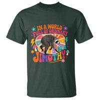 In A World Full Of Ordinary Be A Jimothy Psychedelic Style T Shirt Retro Groovy Seattle Raccoon Legend Graphic
