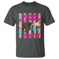 In A World Full Of Ordinary Be A Jimothy Preppy Style T Shirt Cute Y2K Pop Seattle Raccoon Legend Graphic