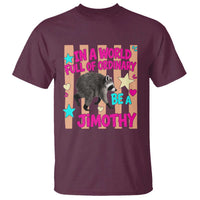 In A World Full Of Ordinary Be A Jimothy Preppy Style T Shirt Cute Y2K Pop Seattle Raccoon Legend Graphic