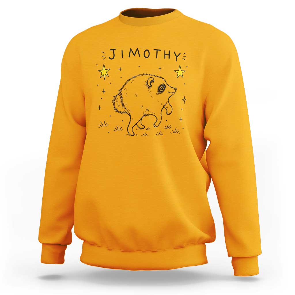 Cute Doodle Starry Jimothy the Raccoon Graphic Sweatshirt Viral Seattle Trash Panda