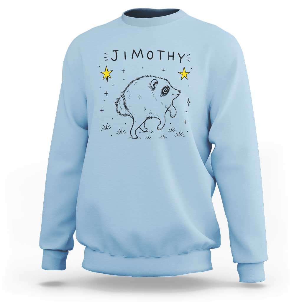 Cute Doodle Starry Jimothy the Raccoon Graphic Sweatshirt Viral Seattle Trash Panda