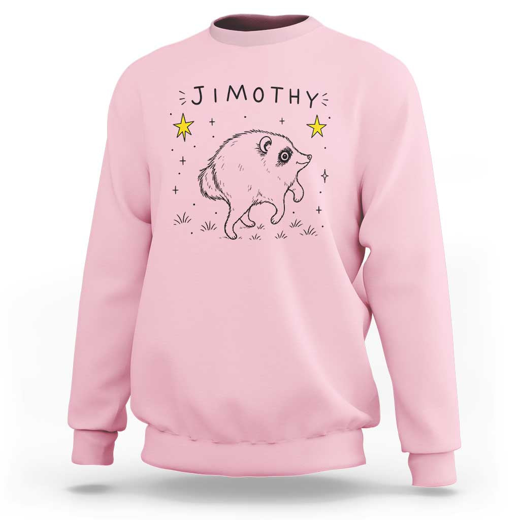 Cute Doodle Starry Jimothy the Raccoon Graphic Sweatshirt Viral Seattle Trash Panda