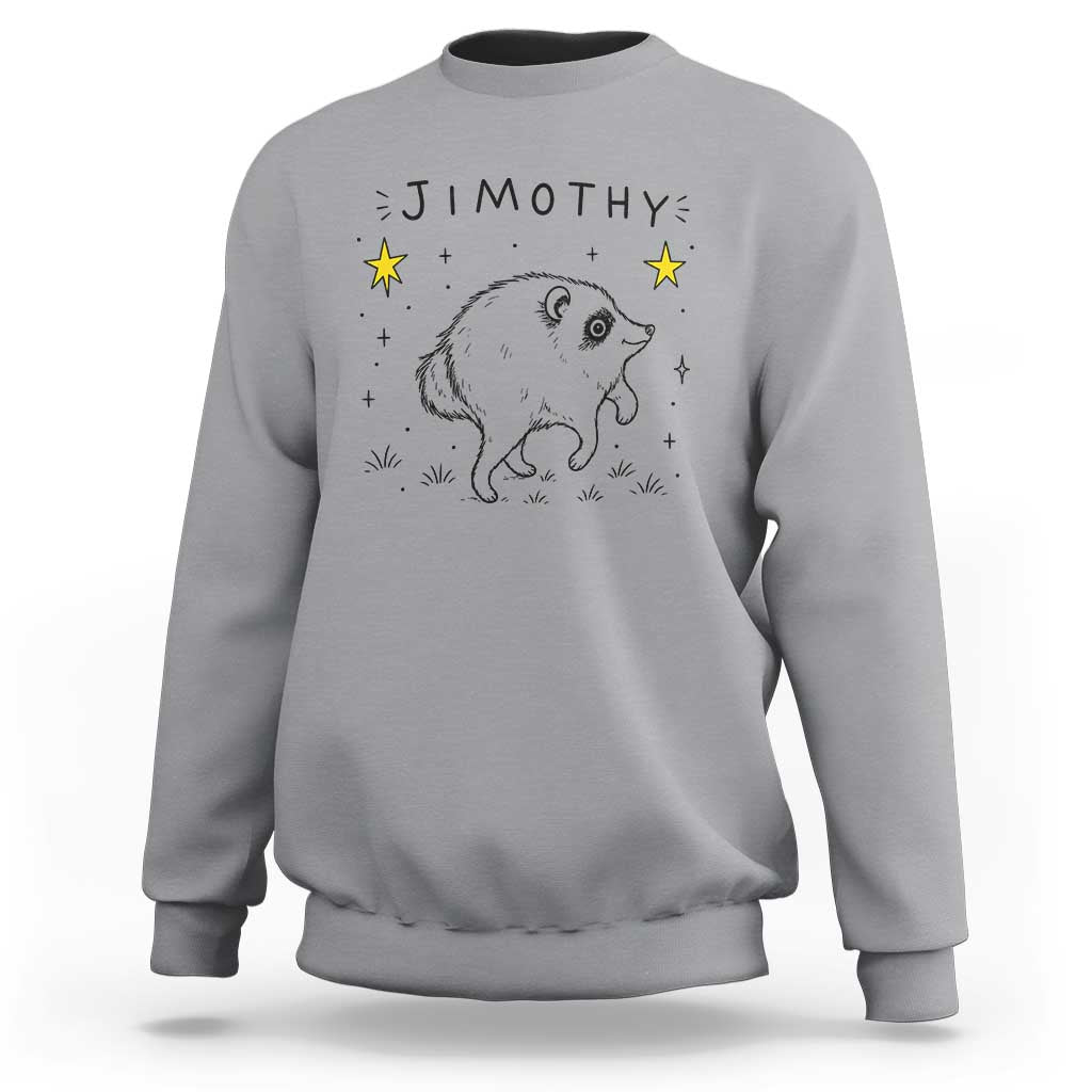 Cute Doodle Starry Jimothy the Raccoon Graphic Sweatshirt Viral Seattle Trash Panda