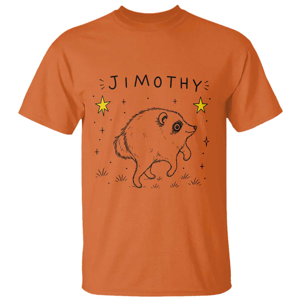 Cute Doodle Starry Jimothy the Raccoon Graphic T Shirt Viral Seattle Trash Panda