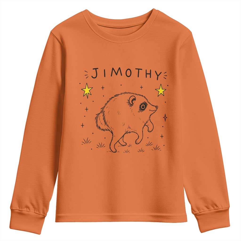 Cute Doodle Starry Jimothy the Raccoon Graphic Youth Sweatshirt Viral Seattle Trash Panda