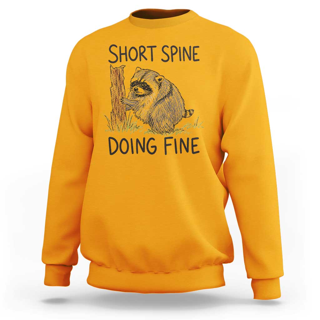 Jimothy Short Spine Doing Fine Inspirational Sweatshirt Viral Seattle Raccoon Crayon Drawing Graphic
