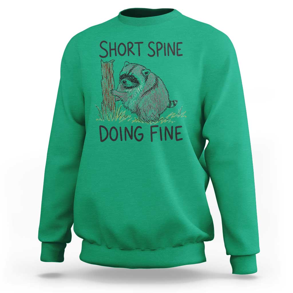 Jimothy Short Spine Doing Fine Inspirational Sweatshirt Viral Seattle Raccoon Crayon Drawing Graphic