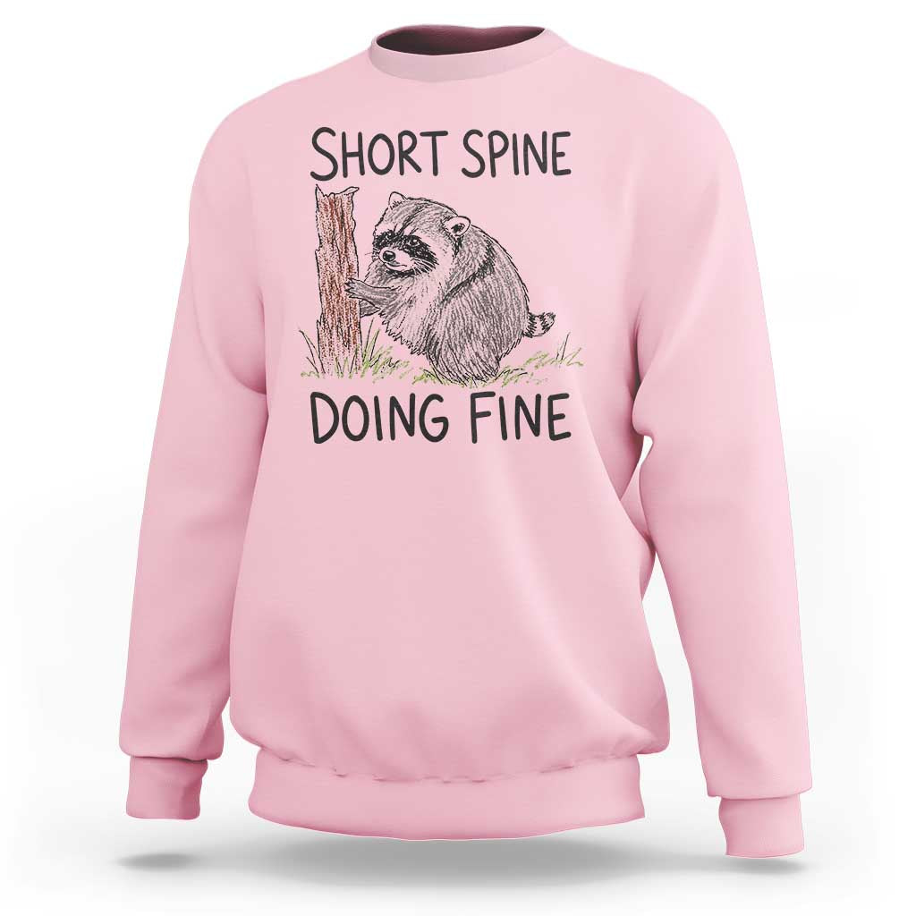 Jimothy Short Spine Doing Fine Inspirational Sweatshirt Viral Seattle Raccoon Crayon Drawing Graphic