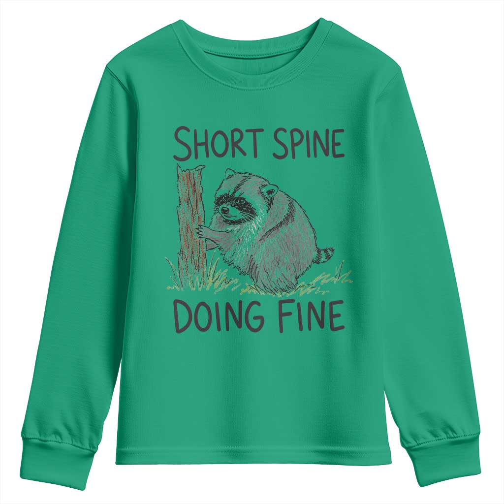 Jimothy Short Spine Doing Fine Inspirational Youth Sweatshirt Viral Seattle Raccoon Crayon Drawing Graphic