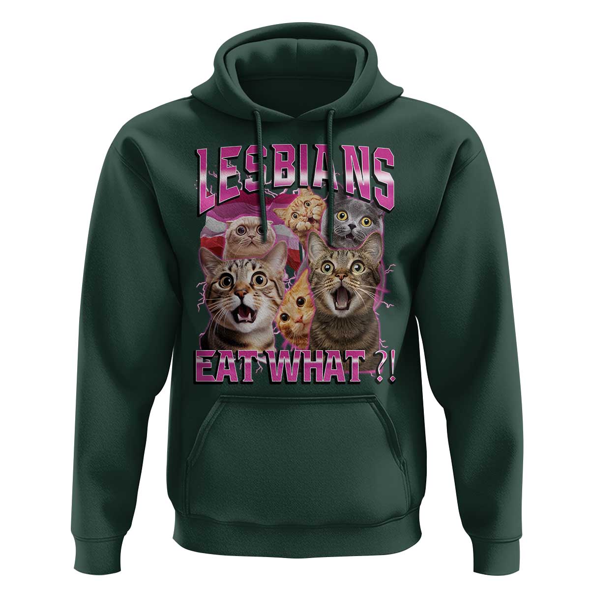 Lesbians Eat What Hoodie Funny LGBTQ+ Pride Cats Meme Feline Lover Bootleg