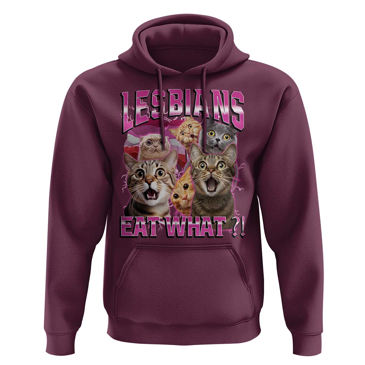 Lesbians Eat What Hoodie Funny LGBTQ+ Pride Cats Meme Feline Lover Bootleg