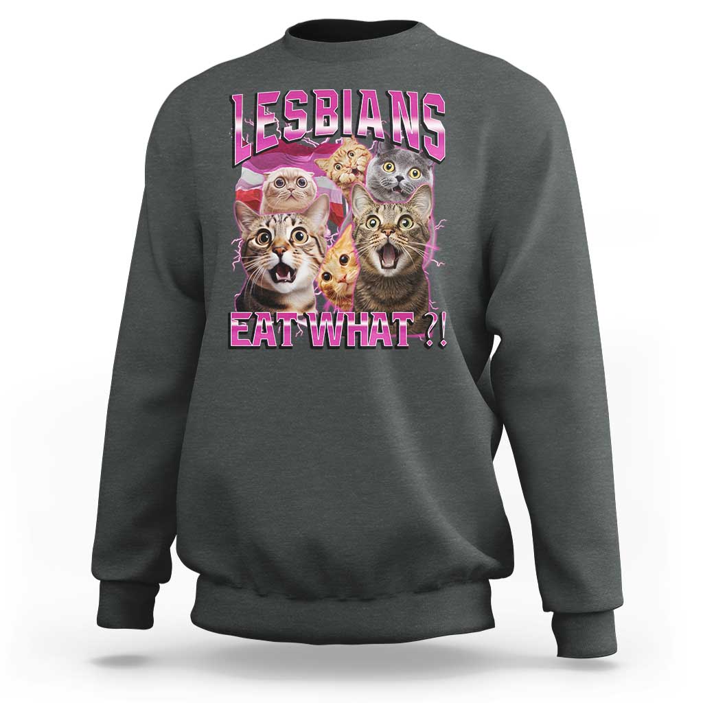 Lesbians Eat What Sweatshirt Funny LGBTQ+ Pride Cats Meme Feline Lover Bootleg