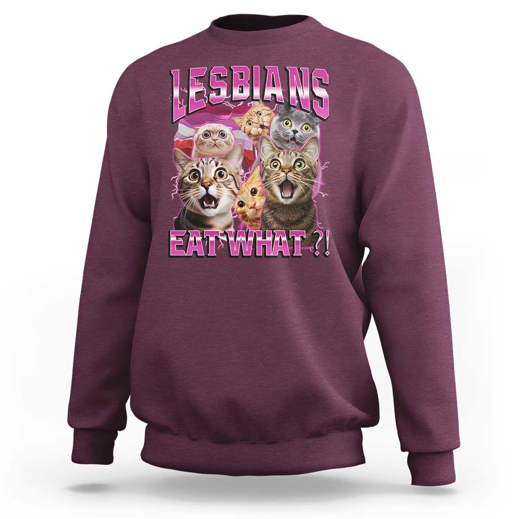 Lesbians Eat What Sweatshirt Funny LGBTQ+ Pride Cats Meme Feline Lover Bootleg