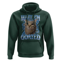 Funny Cat Blue Flame Y2K Bootleg Meme Graphic Hoodie Wait Im Goated Retro Internet Culture Humor