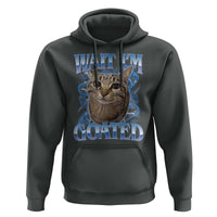 Funny Cat Blue Flame Y2K Bootleg Meme Graphic Hoodie Wait Im Goated Retro Internet Culture Humor