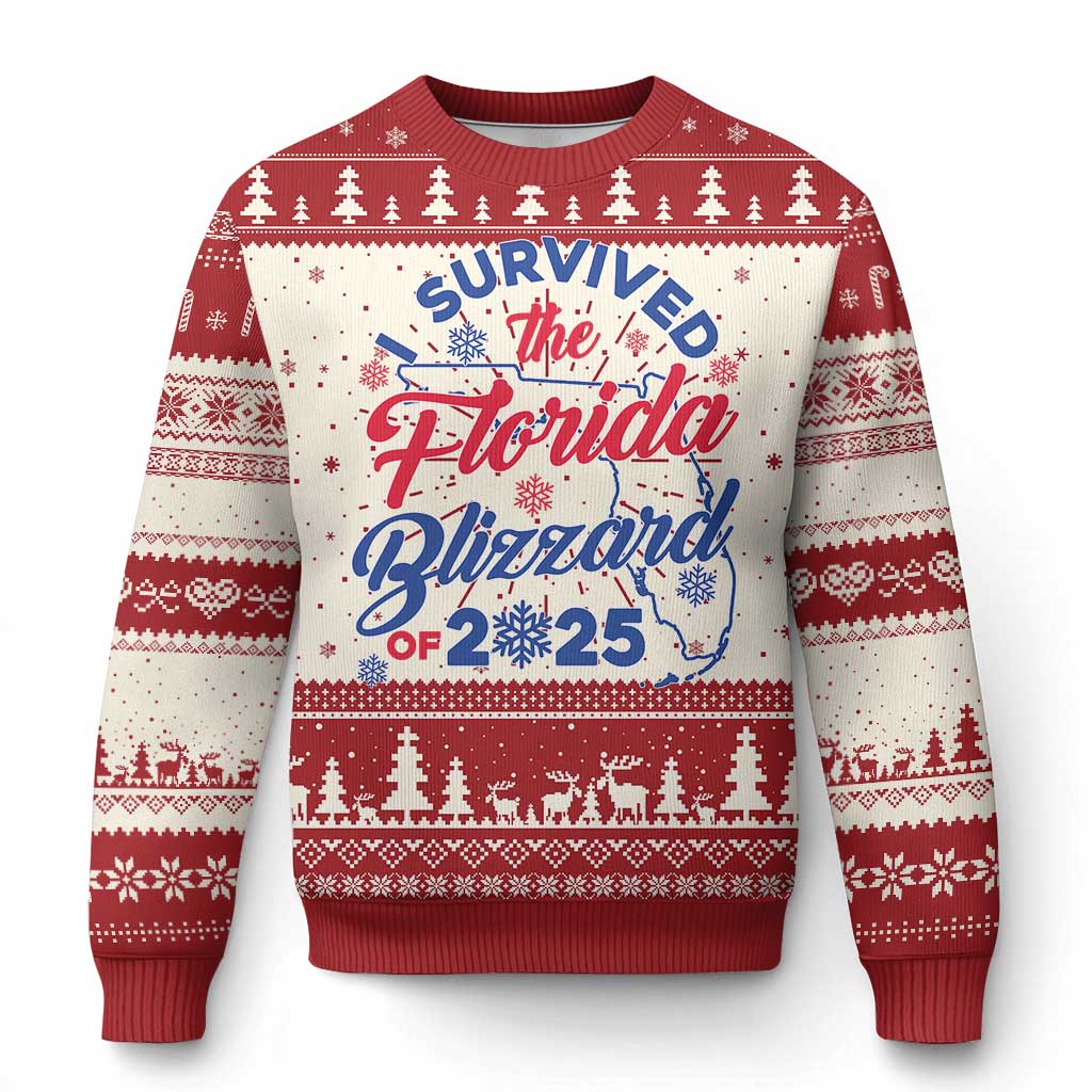 I Survived The Florida Blizzard Of 2025 Knitted Sweatshirt