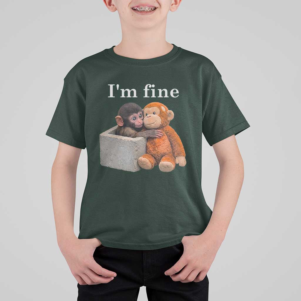 I’m Fine Viral Punch Monkey Meme T Shirt For Kid Cute Baby Monkey Hugging Plush Emotional Humor Gift