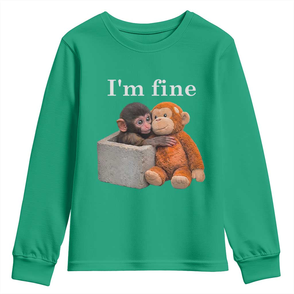 I’m Fine Viral Punch Monkey Meme Youth Sweatshirt Cute Baby Monkey Hugging Plush Emotional Humor Gift