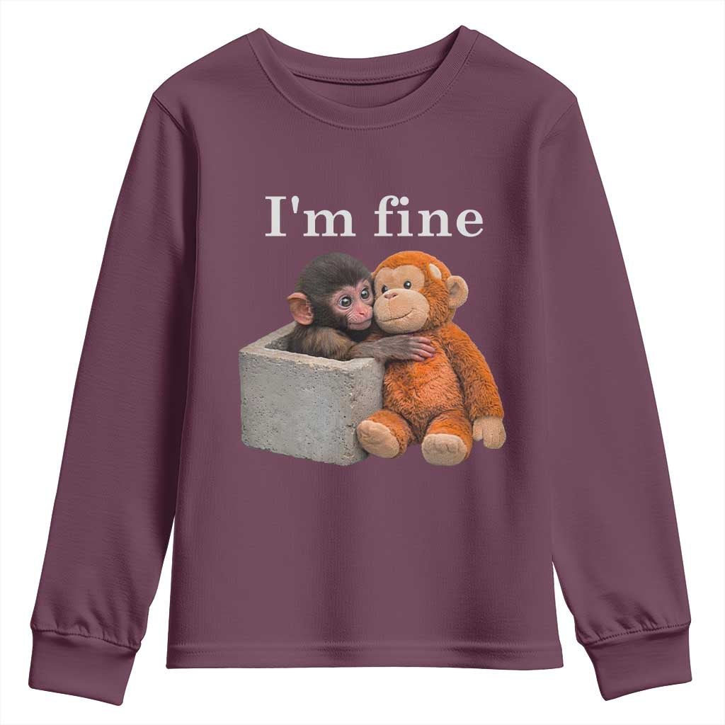 I’m Fine Viral Punch Monkey Meme Youth Sweatshirt Cute Baby Monkey Hugging Plush Emotional Humor Gift