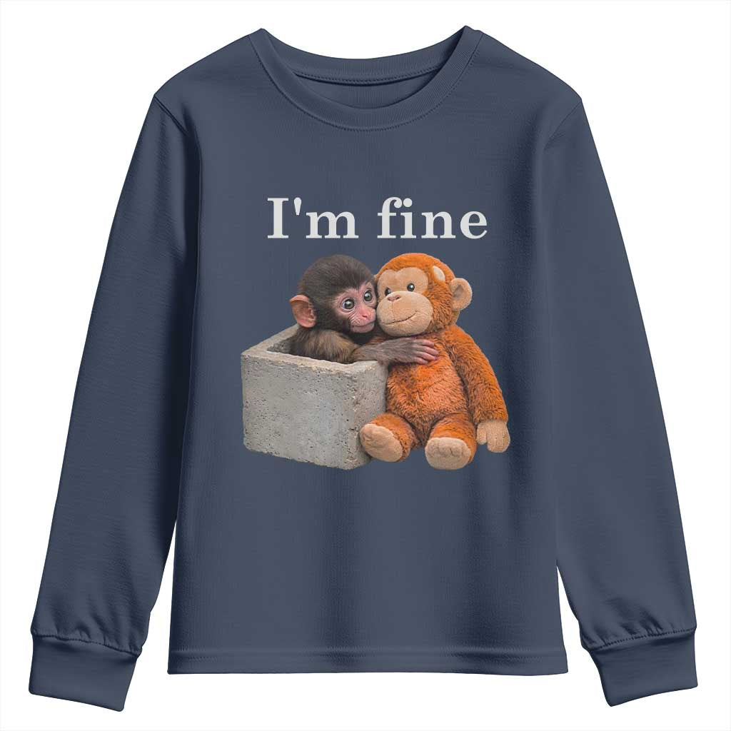 I’m Fine Viral Punch Monkey Meme Youth Sweatshirt Cute Baby Monkey Hugging Plush Emotional Humor Gift
