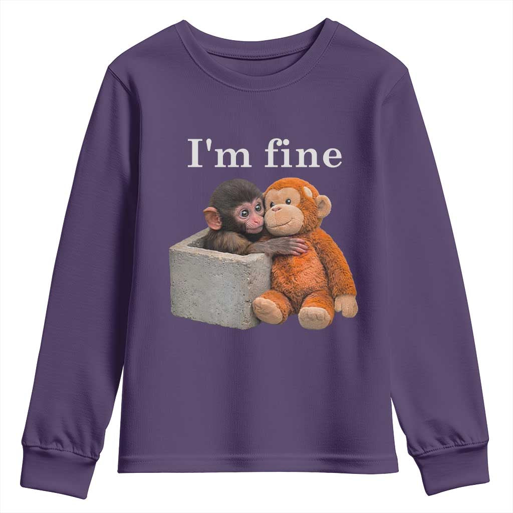 I’m Fine Viral Punch Monkey Meme Youth Sweatshirt Cute Baby Monkey Hugging Plush Emotional Humor Gift