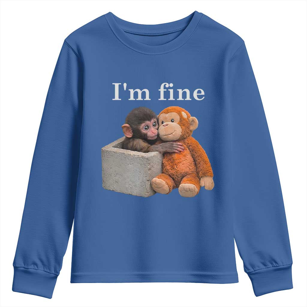 I’m Fine Viral Punch Monkey Meme Youth Sweatshirt Cute Baby Monkey Hugging Plush Emotional Humor Gift
