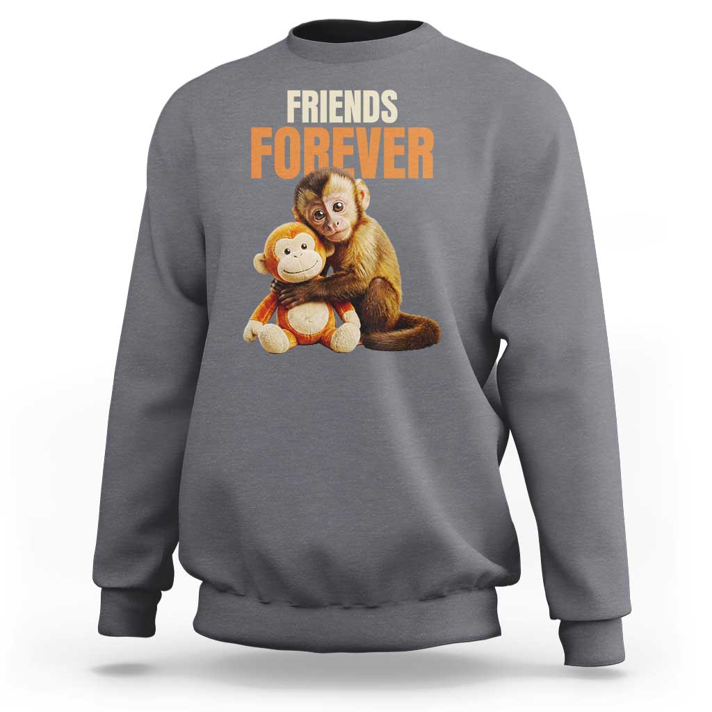 Friends Forever Viral Punch The Monkey Sweatshirt Cute Baby Monkey Hugging Plush Toy Best Friend Gift