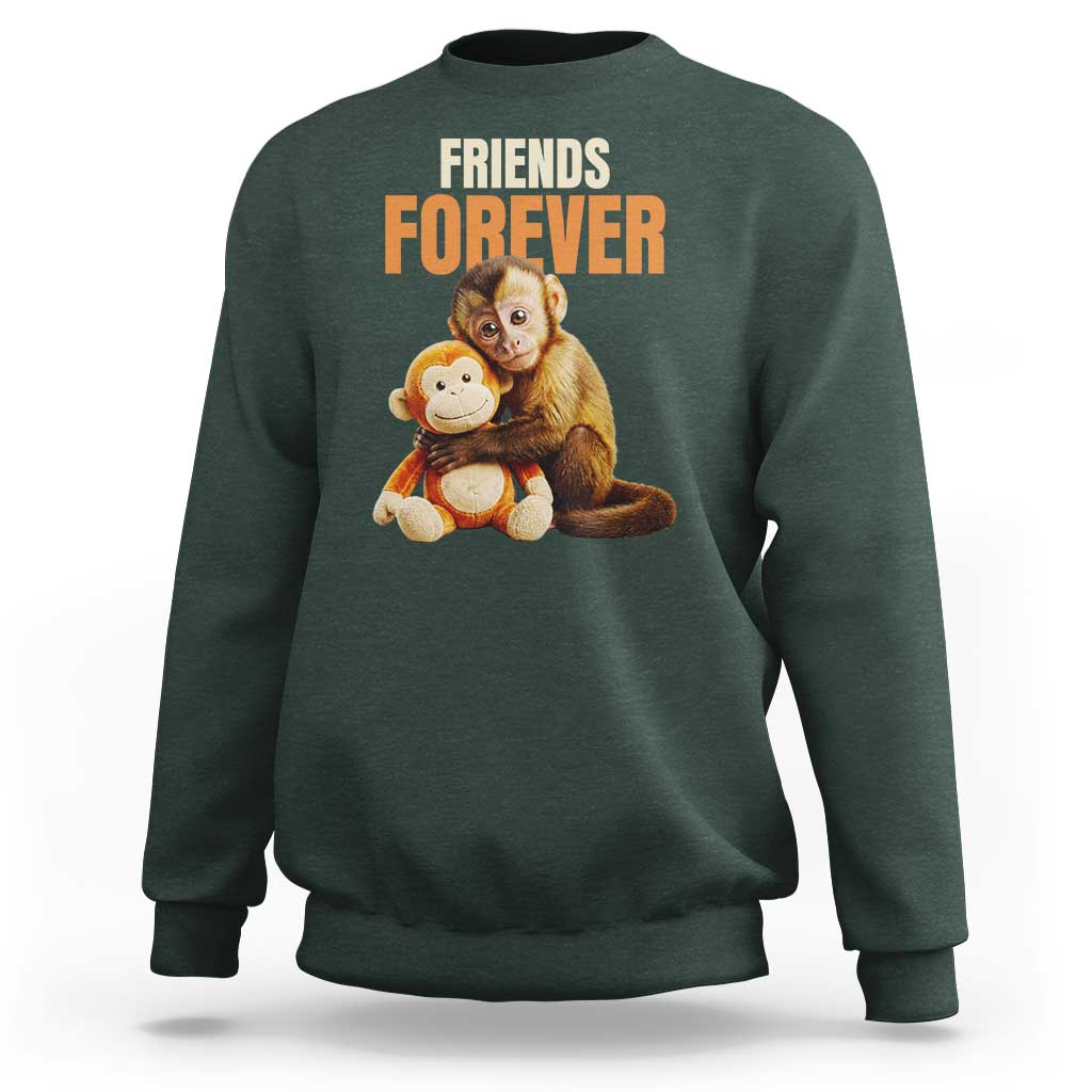 Friends Forever Viral Punch The Monkey Sweatshirt Cute Baby Monkey Hugging Plush Toy Best Friend Gift