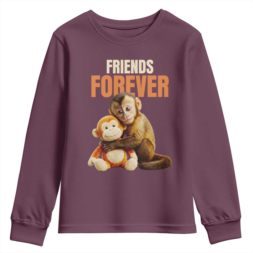 Friends Forever Viral Punch The Monkey Youth Sweatshirt Cute Baby Monkey Hugging Plush Toy Best Friend Gift