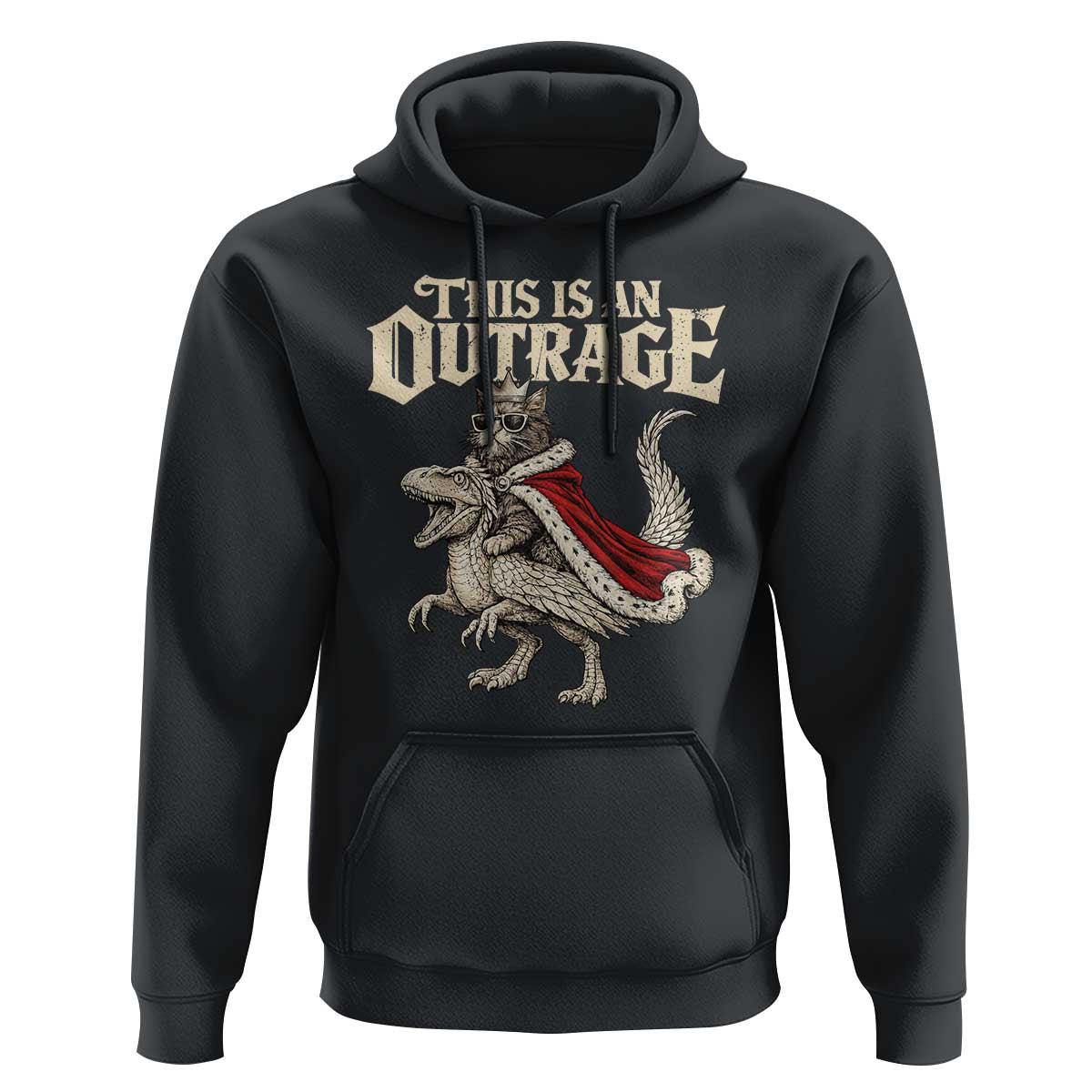 This Is an Outrage Royal Cat Hoodie Funny Princess Cat Riding Dragon Fantasy