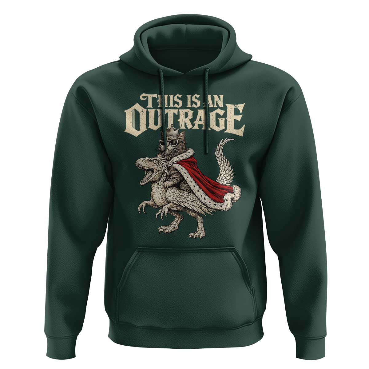 This Is an Outrage Royal Cat Hoodie Funny Princess Cat Riding Dragon Fantasy