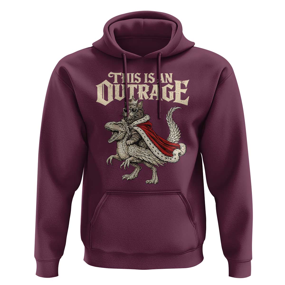 This Is an Outrage Royal Cat Hoodie Funny Princess Cat Riding Dragon Fantasy
