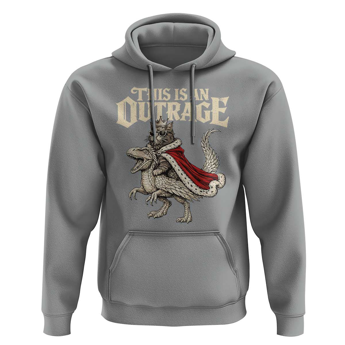 This Is an Outrage Royal Cat Hoodie Funny Princess Cat Riding Dragon Fantasy