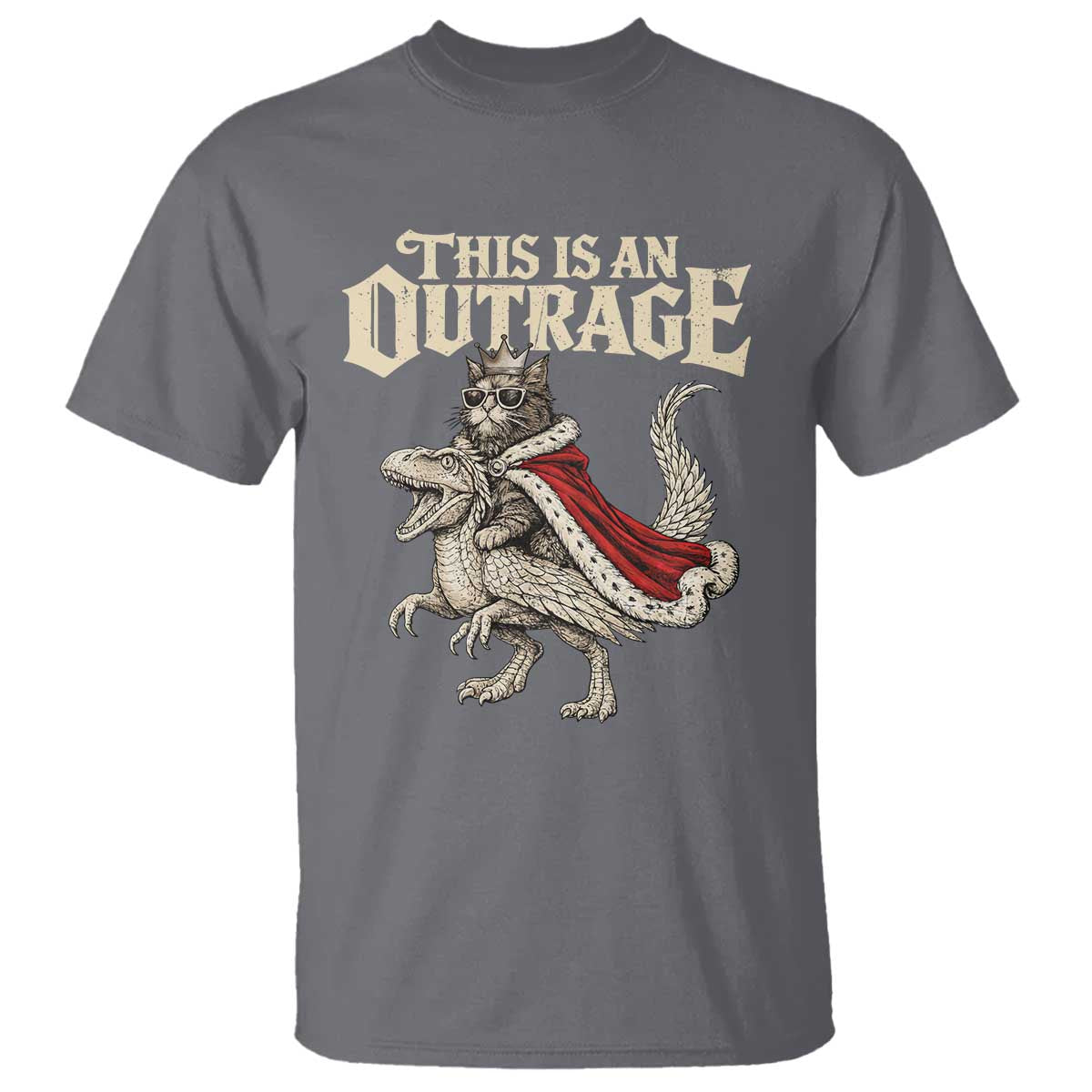 This Is an Outrage Royal Cat T Shirt Funny Princess Cat Riding Dragon Fantasy