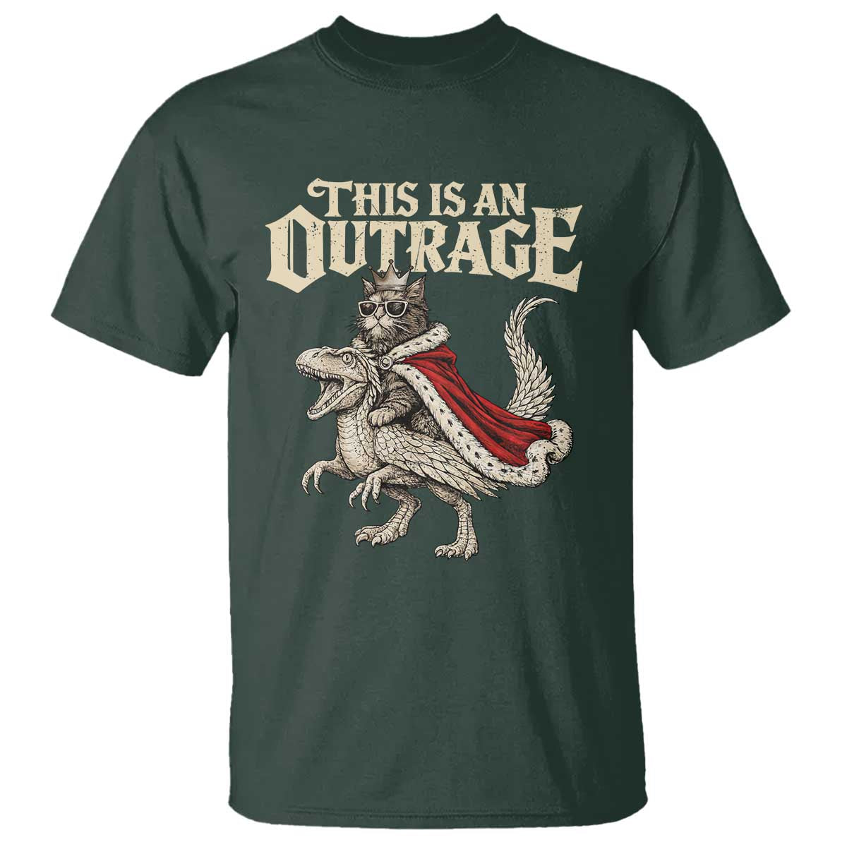This Is an Outrage Royal Cat T Shirt Funny Princess Cat Riding Dragon Fantasy